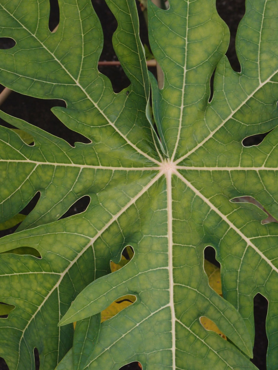 2016-01-21 03 Niteroi (Fotos Casa mais maravilhosa)